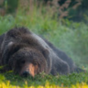 Meet your Posher, J.b.